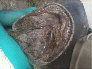 Steinchen in der weissen Linie