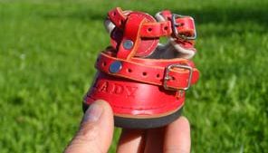 Hufschuh im Miniformat